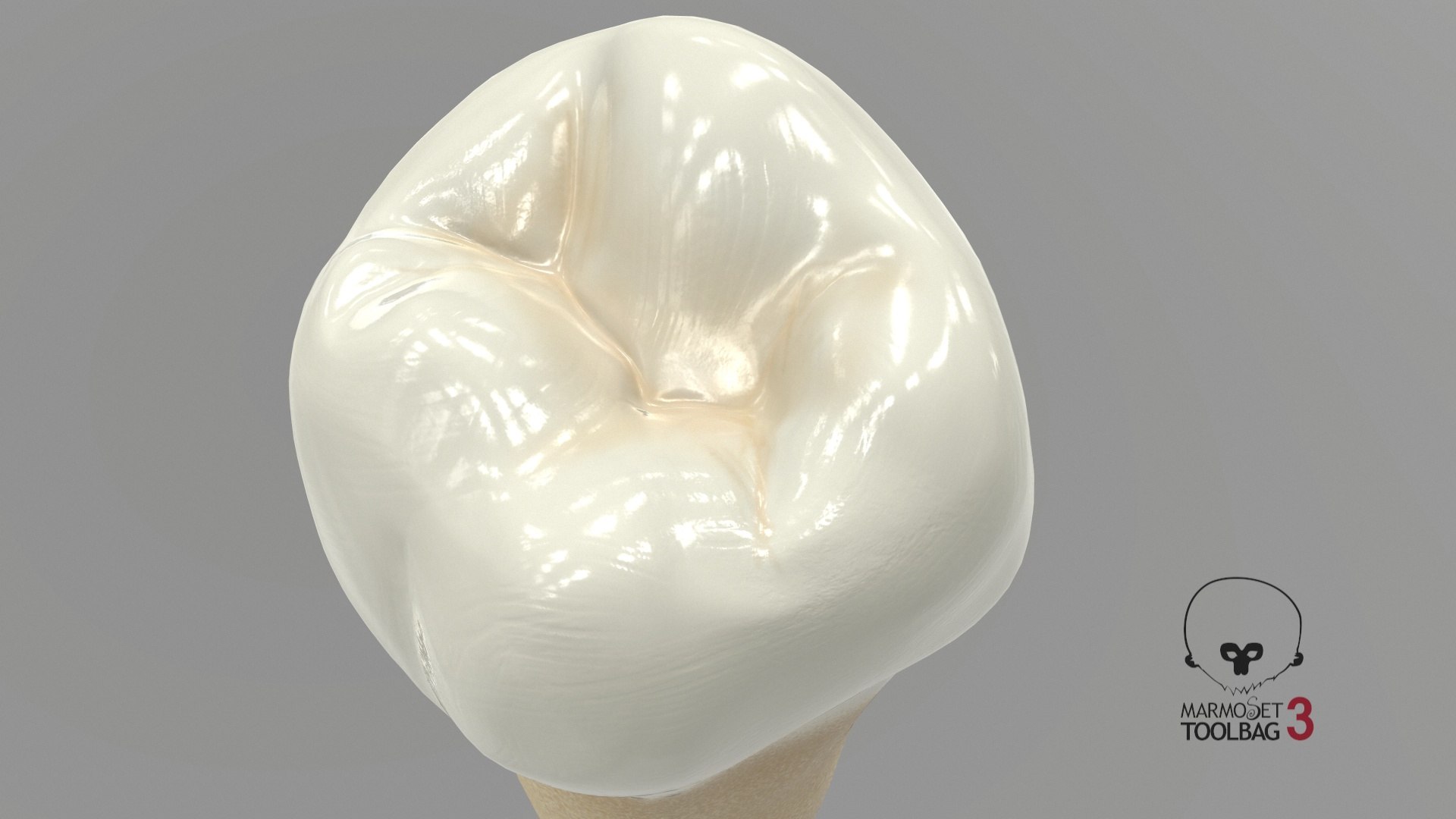 3D human teeth lower second model https://p.turbosquid.com/ts-thumb/ko/q3125K/UT1TOcsH/screenshot005/jpg/1588533198/1920x1080/fit_q87/df65e1c53abe1c7684307a708160959362e5436f/screenshot005.jpg