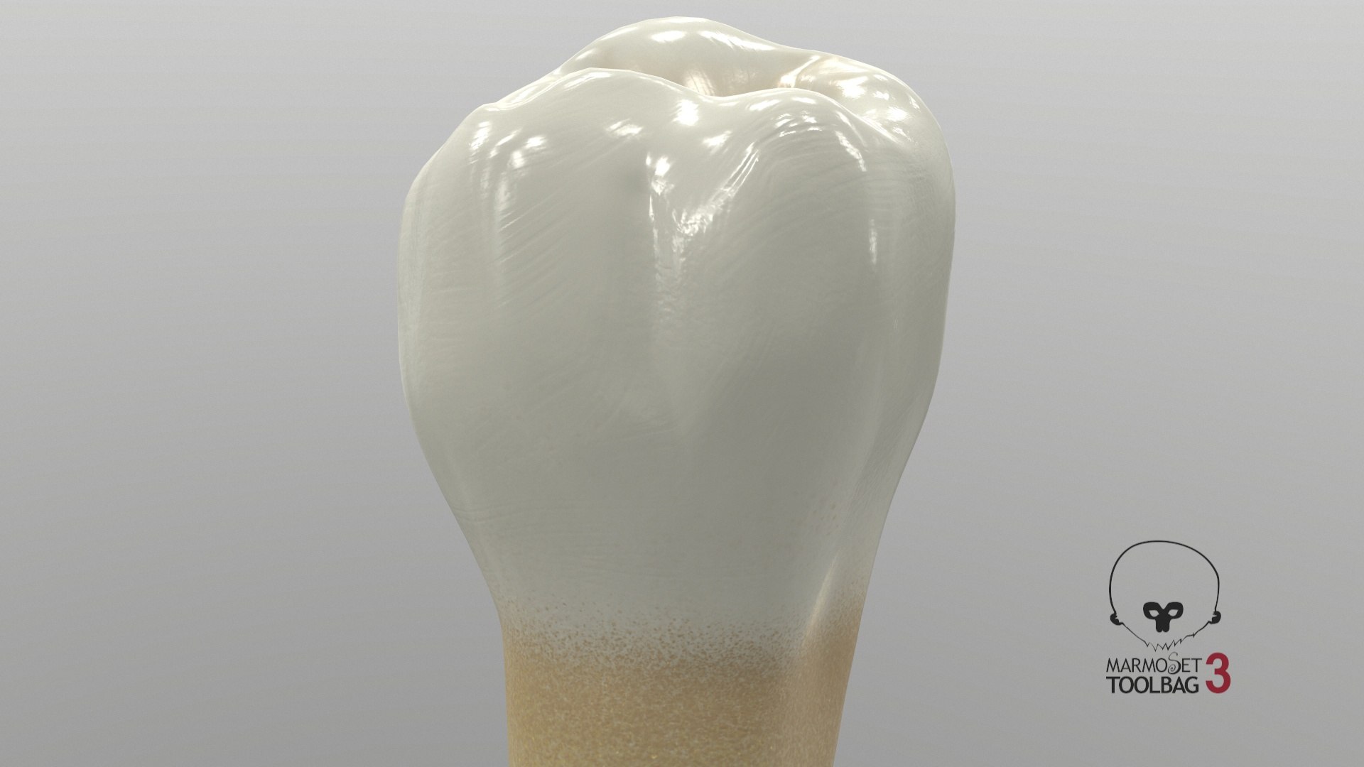 3D human teeth lower second model https://p.turbosquid.com/ts-thumb/ko/q3125K/xr0E2ECC/screenshot004/jpg/1588533198/1920x1080/fit_q87/07eb3555e08209b2f33f0b025d993f8535dc8339/screenshot004.jpg