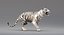 3D realistic tiger fur animation teeth