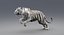 3D realistic tiger fur animation teeth