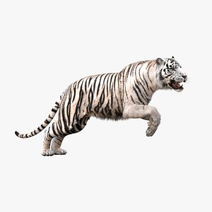 3D realistic tiger fur animation teeth