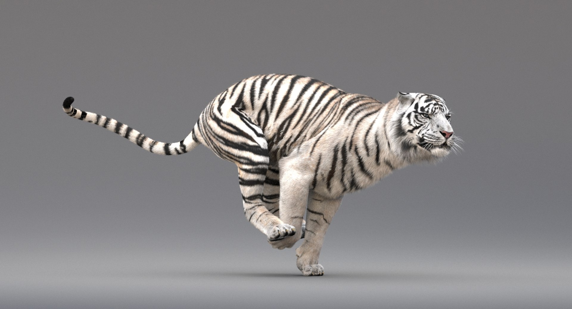 The World's Most Adorable Tiger 3D Rendering · Creative Fabrica