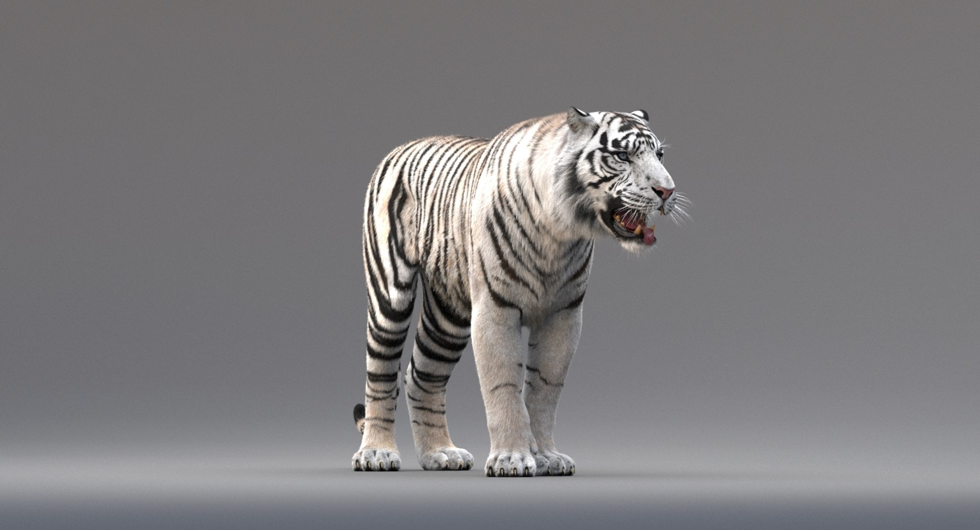 The World's Most Adorable Tiger 3D Rendering · Creative Fabrica