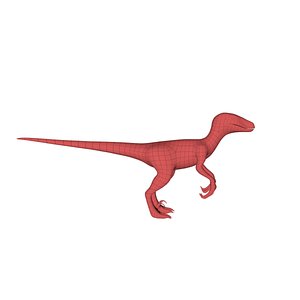 3d base mesh velociraptor model