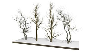 bare tree 3D model