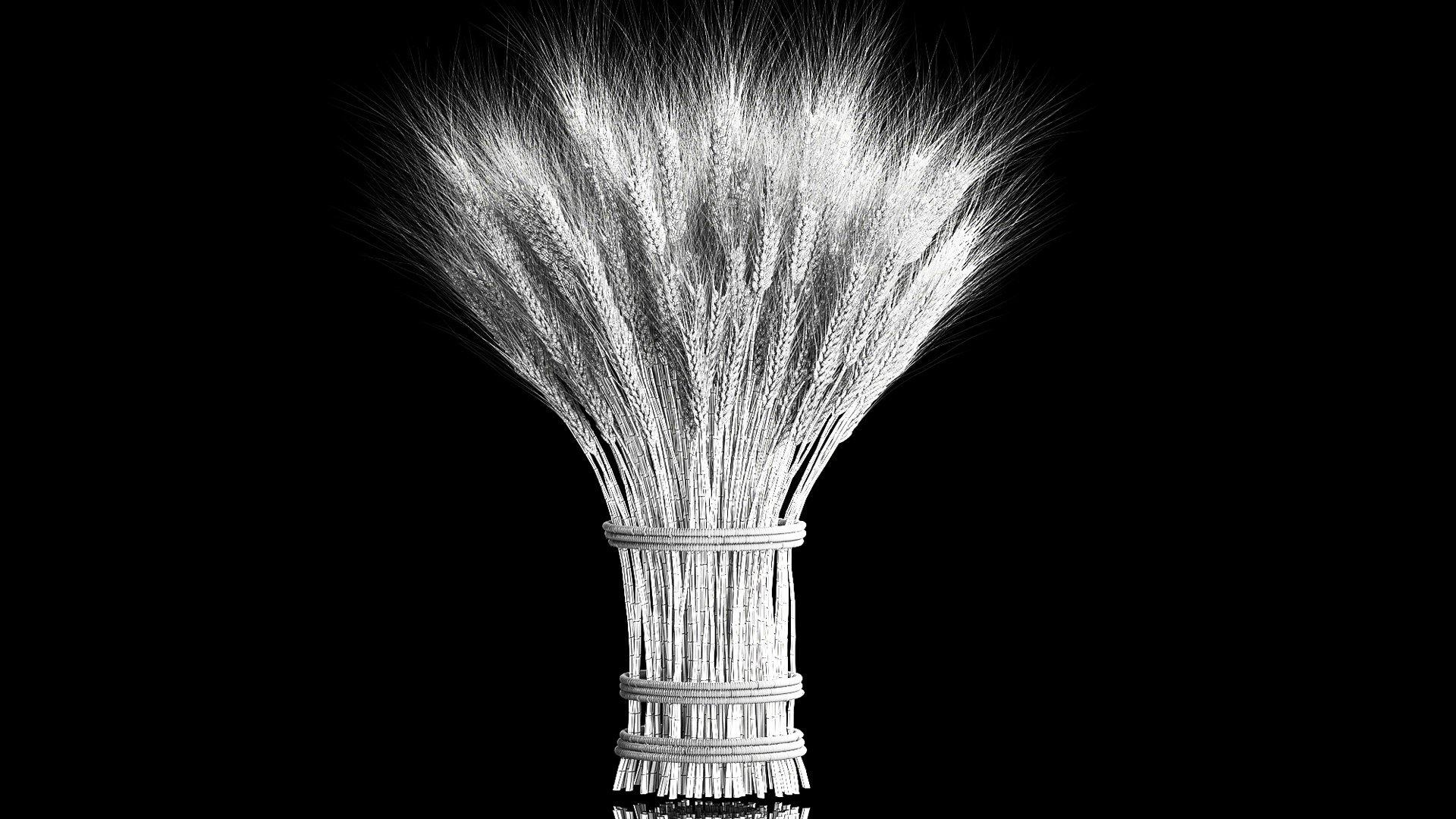 3D Bouquet of dried flowers from spikelets of wheat 287 https://p.turbosquid.com/ts-thumb/kp/96HzmR/Aa/1flowers2002202309/jpg/1677059322/1920x1080/fit_q87/255e1bd31a4bd47fa77083373938bc48de498378/1flowers2002202309.jpg