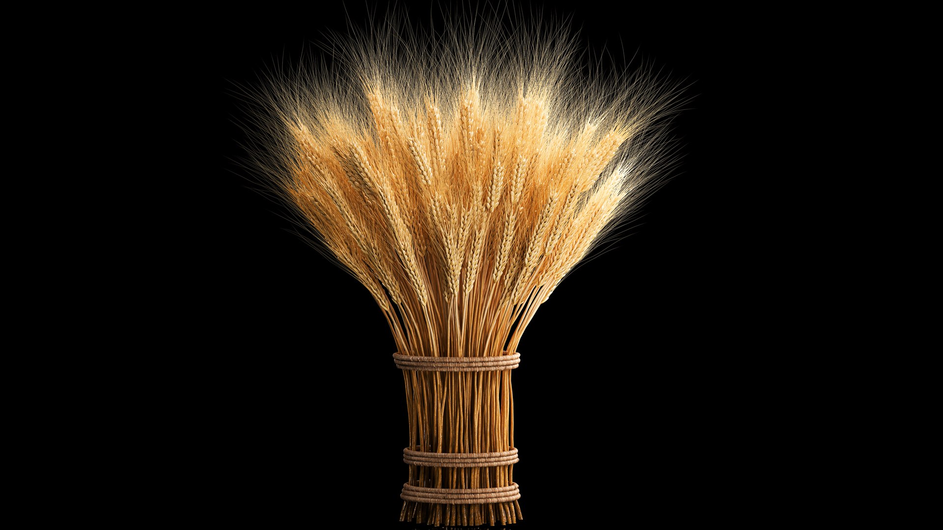 3D Bouquet of dried flowers from spikelets of wheat 287 https://p.turbosquid.com/ts-thumb/kp/96HzmR/Qr/1flowers2002202302/jpg/1677059315/1920x1080/fit_q87/f071312d4bcb2fe3c206b38291598c7baf4e442c/1flowers2002202302.jpg