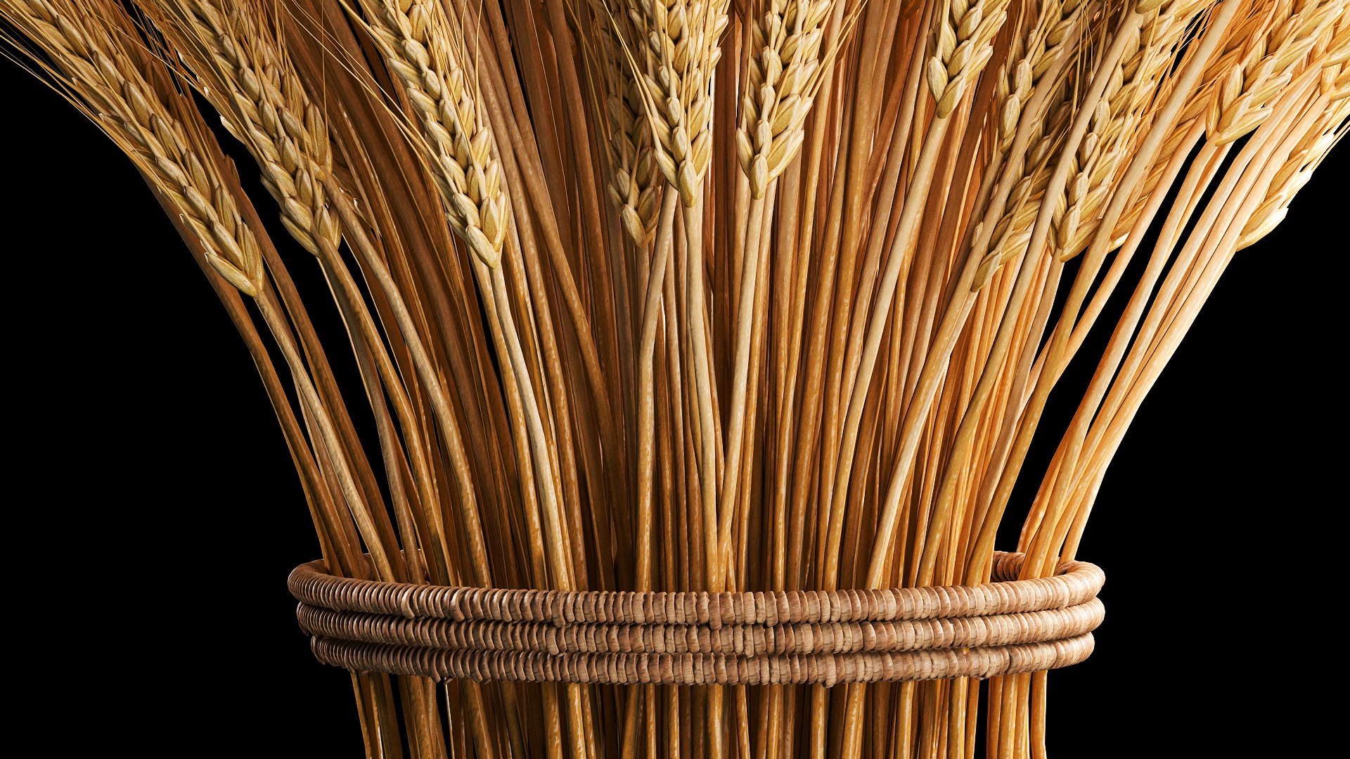 3D Bouquet of dried flowers from spikelets of wheat 287 https://p.turbosquid.com/ts-thumb/kp/96HzmR/xv/1flowers2002202306/jpg/1677059321/1920x1080/fit_q87/f7a40475212715be8ec41fc7059b97fa032d53fa/1flowers2002202306.jpg