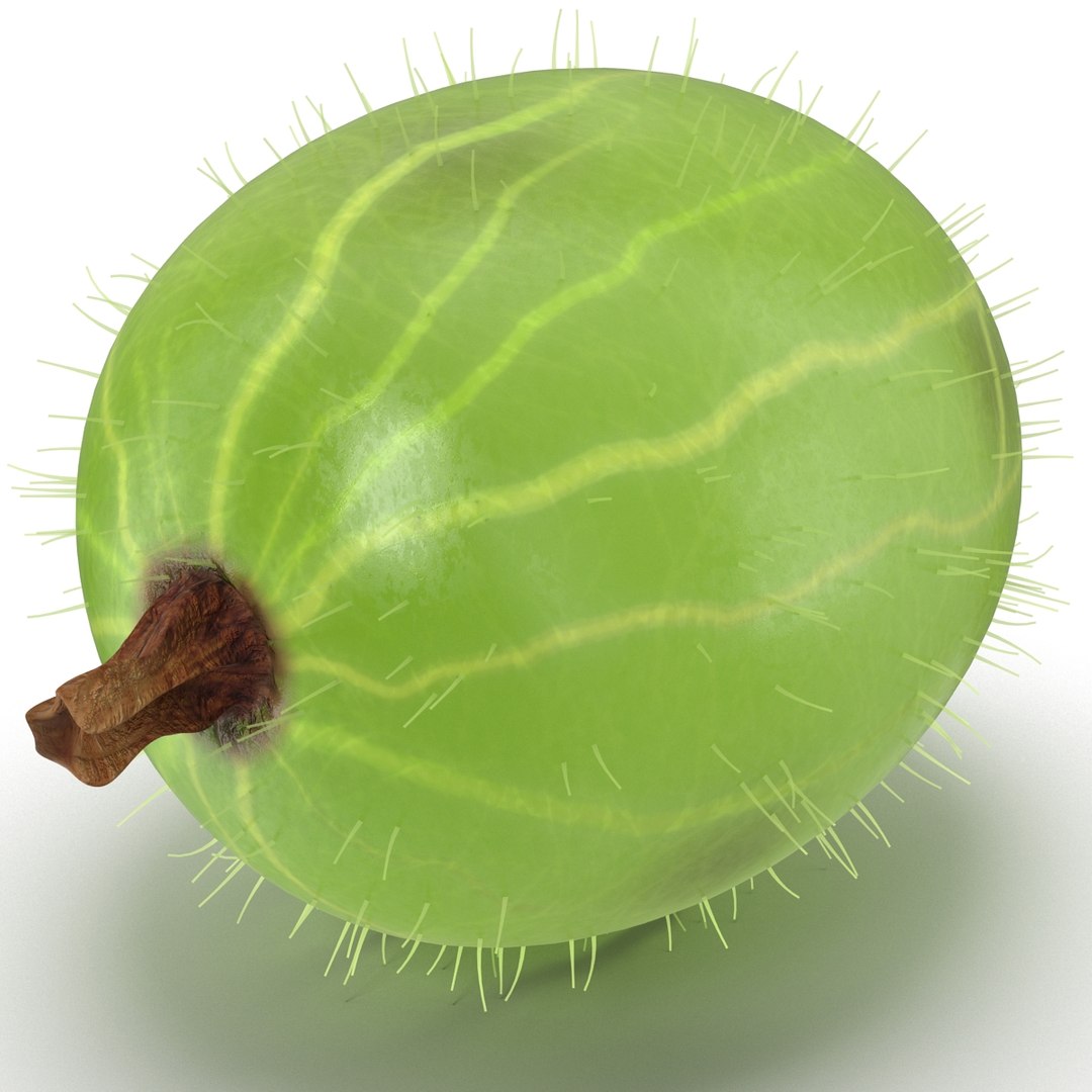 c4d gooseberry berry https://p.turbosquid.com/ts-thumb/kp/NEiRXP/4NCwC1zz/010_gooseberry/jpg/1414699981/1920x1080/fit_q87/d67cc03ab8de2147d89c40708cd2626f83eb77e5/010_gooseberry.jpg