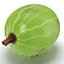 Gooseberry