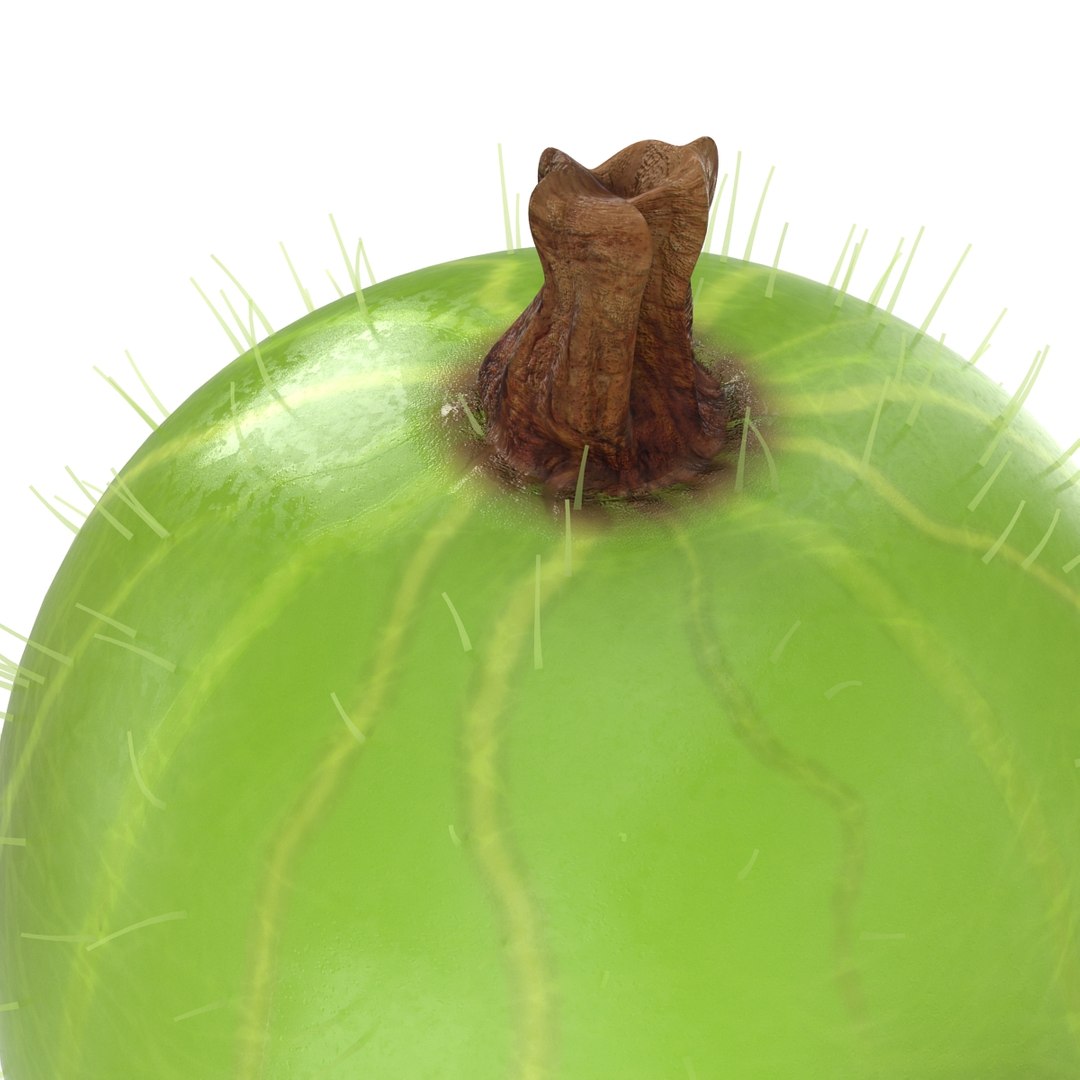 c4d gooseberry berry https://p.turbosquid.com/ts-thumb/kp/NEiRXP/5qIQDDDM/006_gooseberry/jpg/1414699906/1920x1080/fit_q87/baad9712765c4a7e0157ab2f57dfd3dd9f14fc00/006_gooseberry.jpg