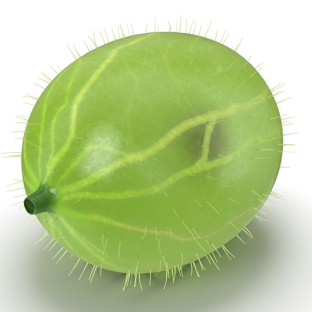 c4d gooseberry berry https://p.turbosquid.com/ts-thumb/kp/NEiRXP/BHwuktpb/012_gooseberry/jpg/1414699942/1920x1080/fit_q87/35c16c22606f021212a440151f70330b73db1a96/012_gooseberry.jpg