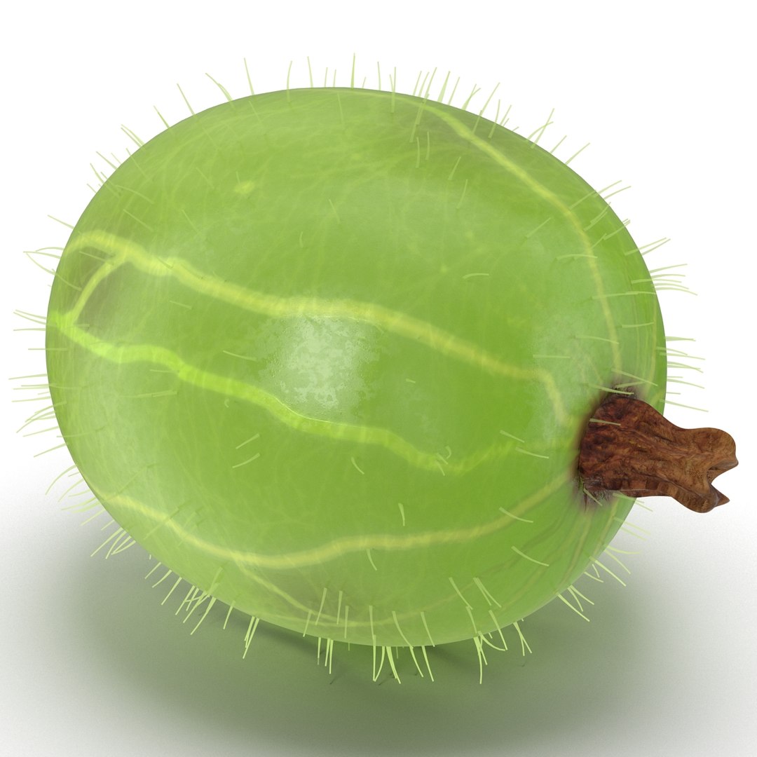 c4d gooseberry berry https://p.turbosquid.com/ts-thumb/kp/NEiRXP/CFVReEbg/009_gooseberry/jpg/1414699927/1920x1080/fit_q87/5052105d84552aa8fa070b7eb1fbd7b3d794a37b/009_gooseberry.jpg