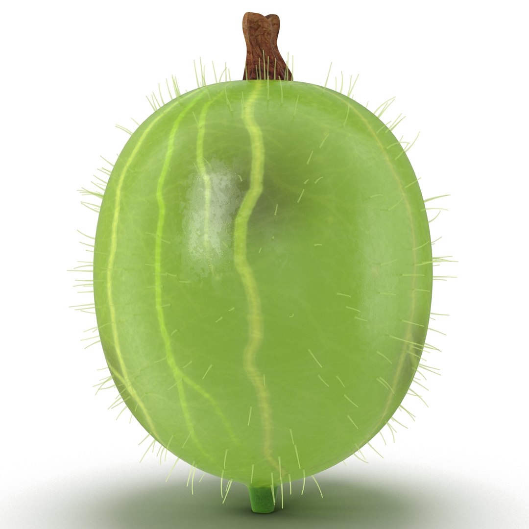 c4d gooseberry berry https://p.turbosquid.com/ts-thumb/kp/NEiRXP/MjGzMsBZ/002_gooseberry/jpg/1414699888/1920x1080/fit_q87/221c9e5bc6a46b1cbf56d0adf35ff7b9f3a6f7e1/002_gooseberry.jpg