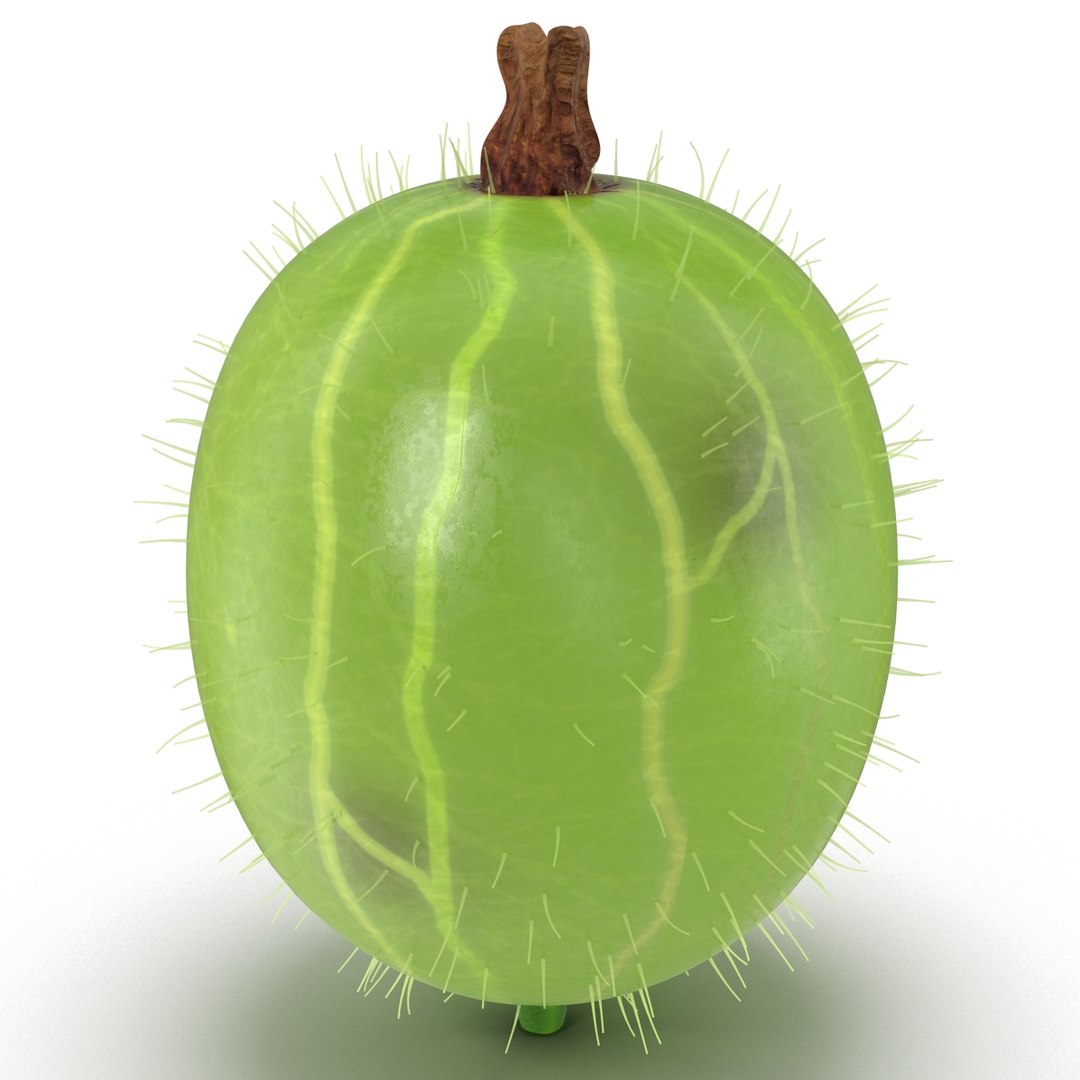 c4d gooseberry berry https://p.turbosquid.com/ts-thumb/kp/NEiRXP/Z6YcCmuU/003_gooseberry/jpg/1414699893/1920x1080/fit_q87/c9a4817da38d85e29a69c222e6a68bc073d58b6c/003_gooseberry.jpg