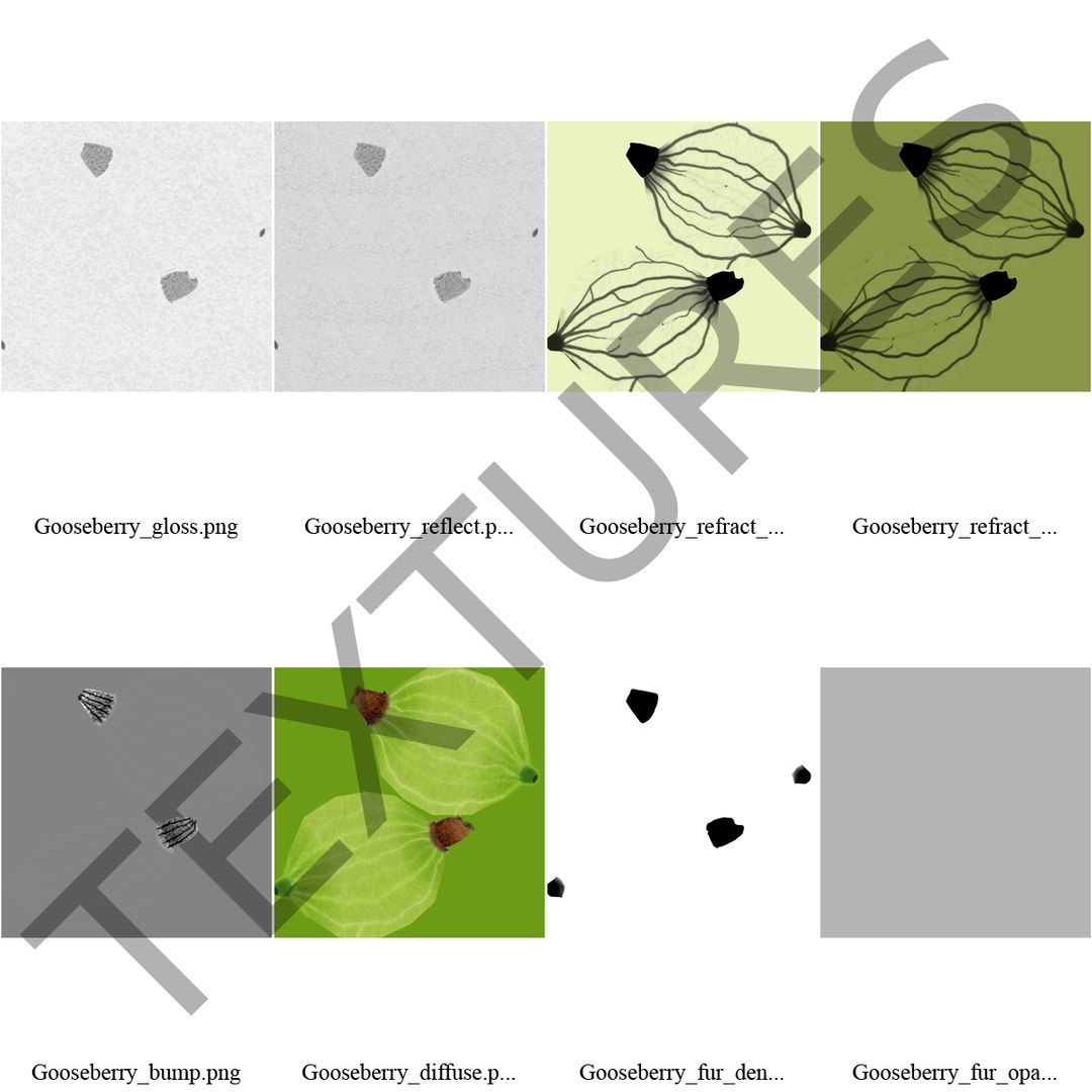 c4d gooseberry berry https://p.turbosquid.com/ts-thumb/kp/NEiRXP/ZJ3boUTo/023_gooseberry_textures/jpg/1414700055/1920x1080/fit_q87/e48ea5b84751ec42c6bac923d6efffc3628c920d/023_gooseberry_textures.jpg