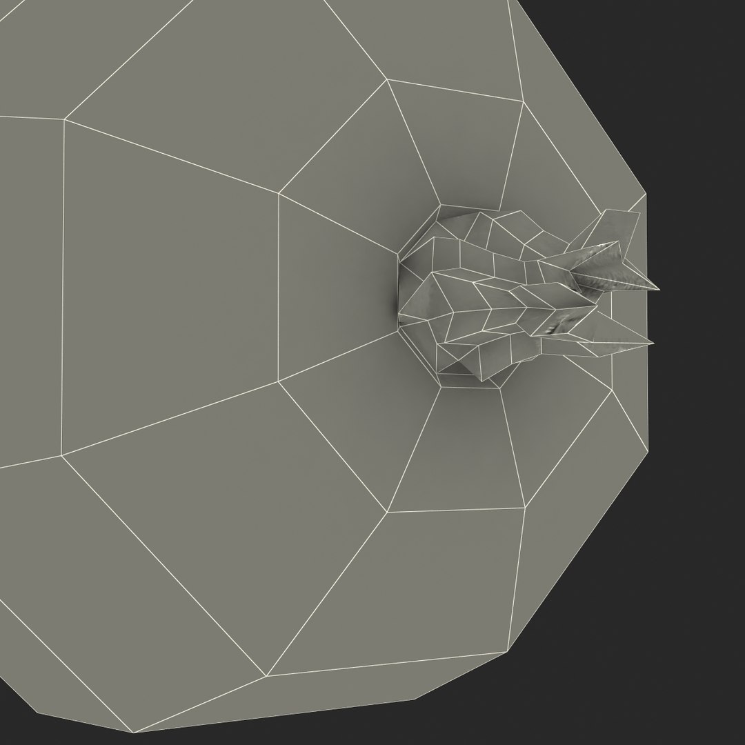 c4d gooseberry berry https://p.turbosquid.com/ts-thumb/kp/NEiRXP/iBdus0FW/018_gooseberry_g/jpg/1414699993/1920x1080/fit_q87/5902b4b364a34ab6f9347c398dade2e6fa53a420/018_gooseberry_g.jpg