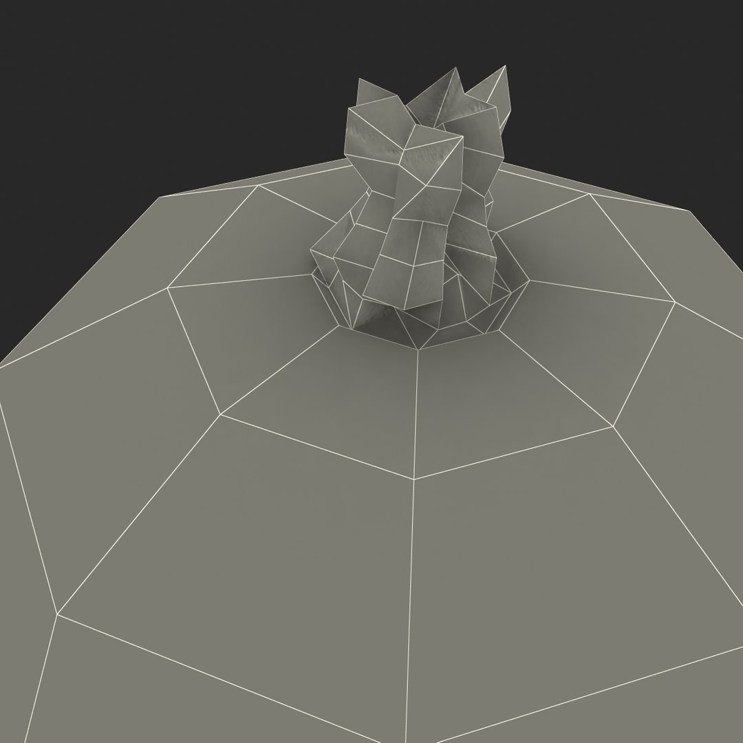 c4d gooseberry berry https://p.turbosquid.com/ts-thumb/kp/NEiRXP/qDt7o8wf/016_gooseberry_g/jpg/1414700019/1920x1080/fit_q87/17528d93703d3cd881dfaadebb966c3f3f446268/016_gooseberry_g.jpg