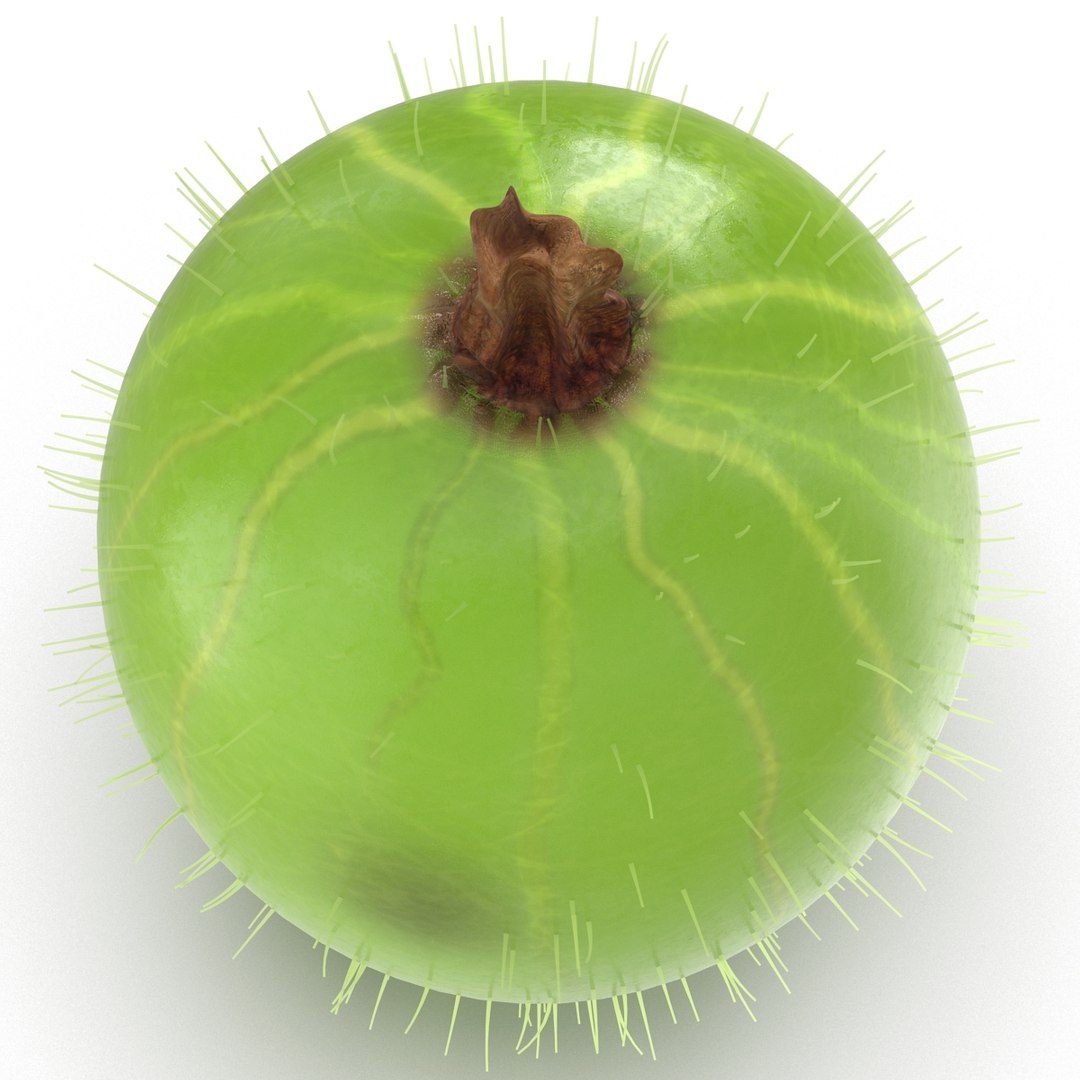 c4d gooseberry berry https://p.turbosquid.com/ts-thumb/kp/NEiRXP/yInE7jkM/004_gooseberry/jpg/1414699929/1920x1080/fit_q87/bfdc8776707f78d7d24296ad869eb8749dcd1f19/004_gooseberry.jpg
