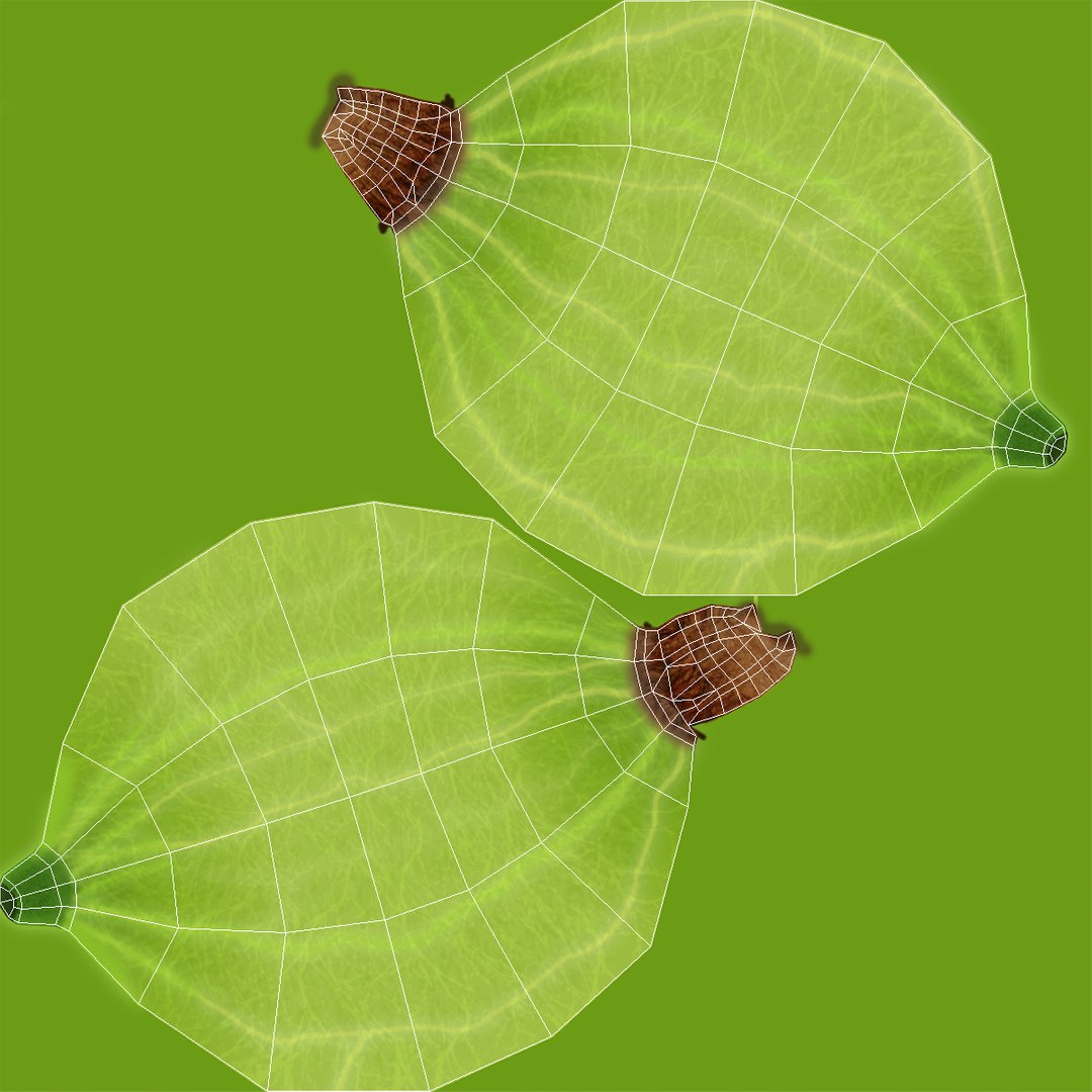 c4d gooseberry berry https://p.turbosquid.com/ts-thumb/kp/NEiRXP/zFLNrCyY/024_gooseberry_uvw/jpg/1414700071/1920x1080/fit_q87/6c9dfabfc2fccfc6a271142d3b1c50d83f4204b8/024_gooseberry_uvw.jpg