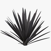 Flax Platts Black B