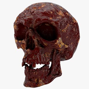 3D model Horror Human Skull