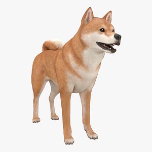 3D model Dog Shiba Inu RIGGED