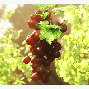 3D GRAPES