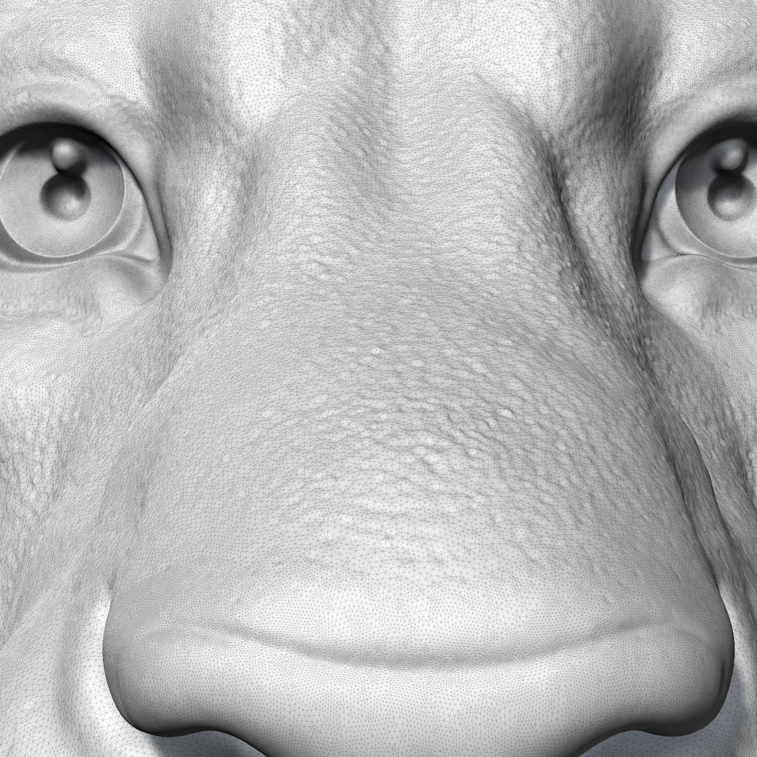 Lion Head AM01 3D print model 3D https://p.turbosquid.com/ts-thumb/kp/yqGhrn/wX/wire_02/png/1683886873/1920x1080/fit_q87/060c73e26f4f510affa1c6fc6e6372e2466727f5/wire_02.jpg