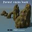 Forest rocks pack