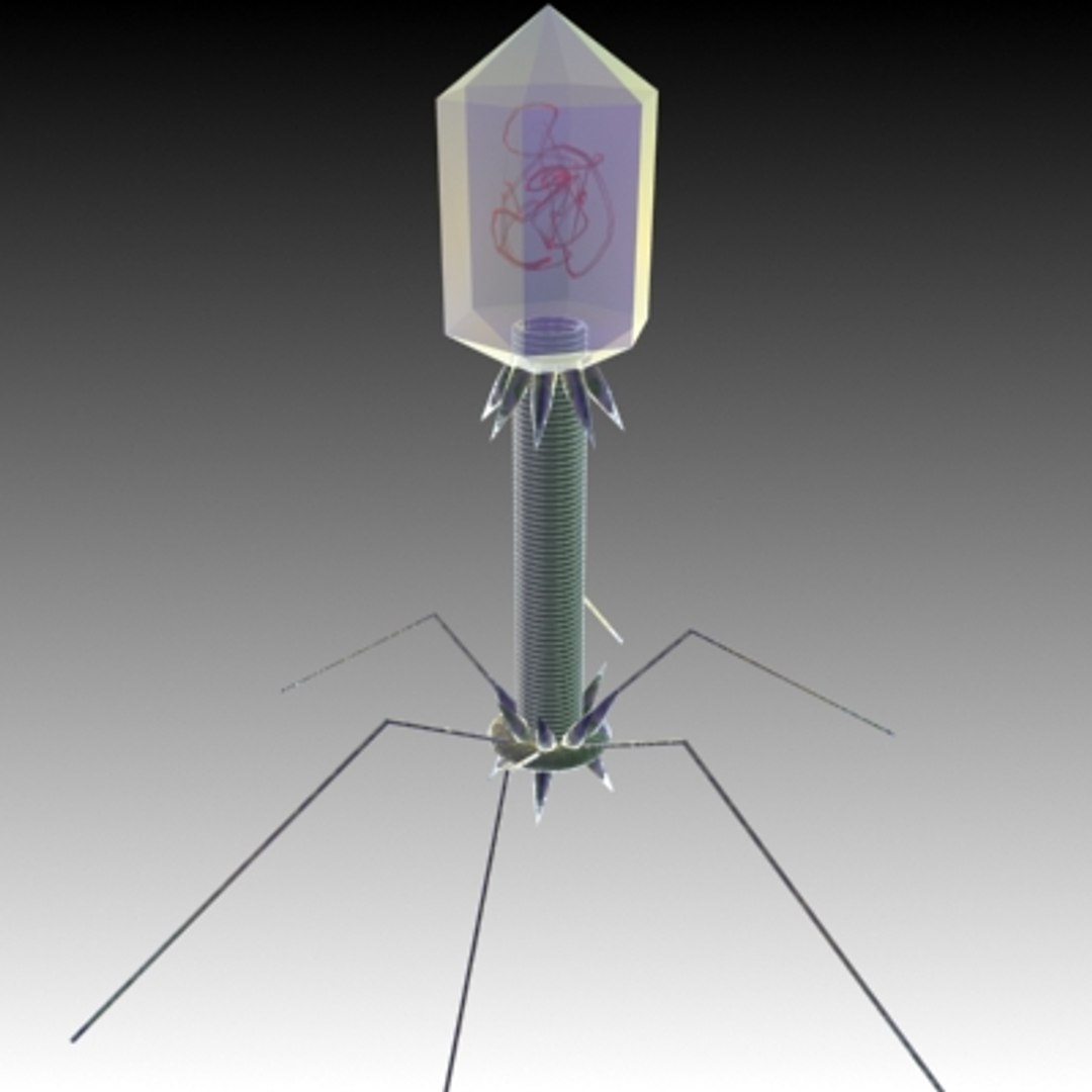 Max Virus Science