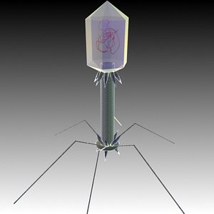 max virus science