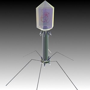 bacteriaphage