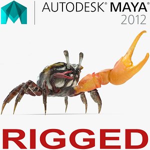 fiddler crab rigged 3D model
