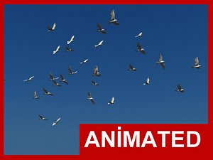 3d realistic flying bird flock