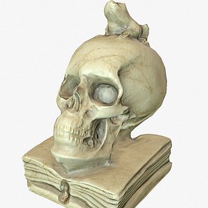 Skull Ornament