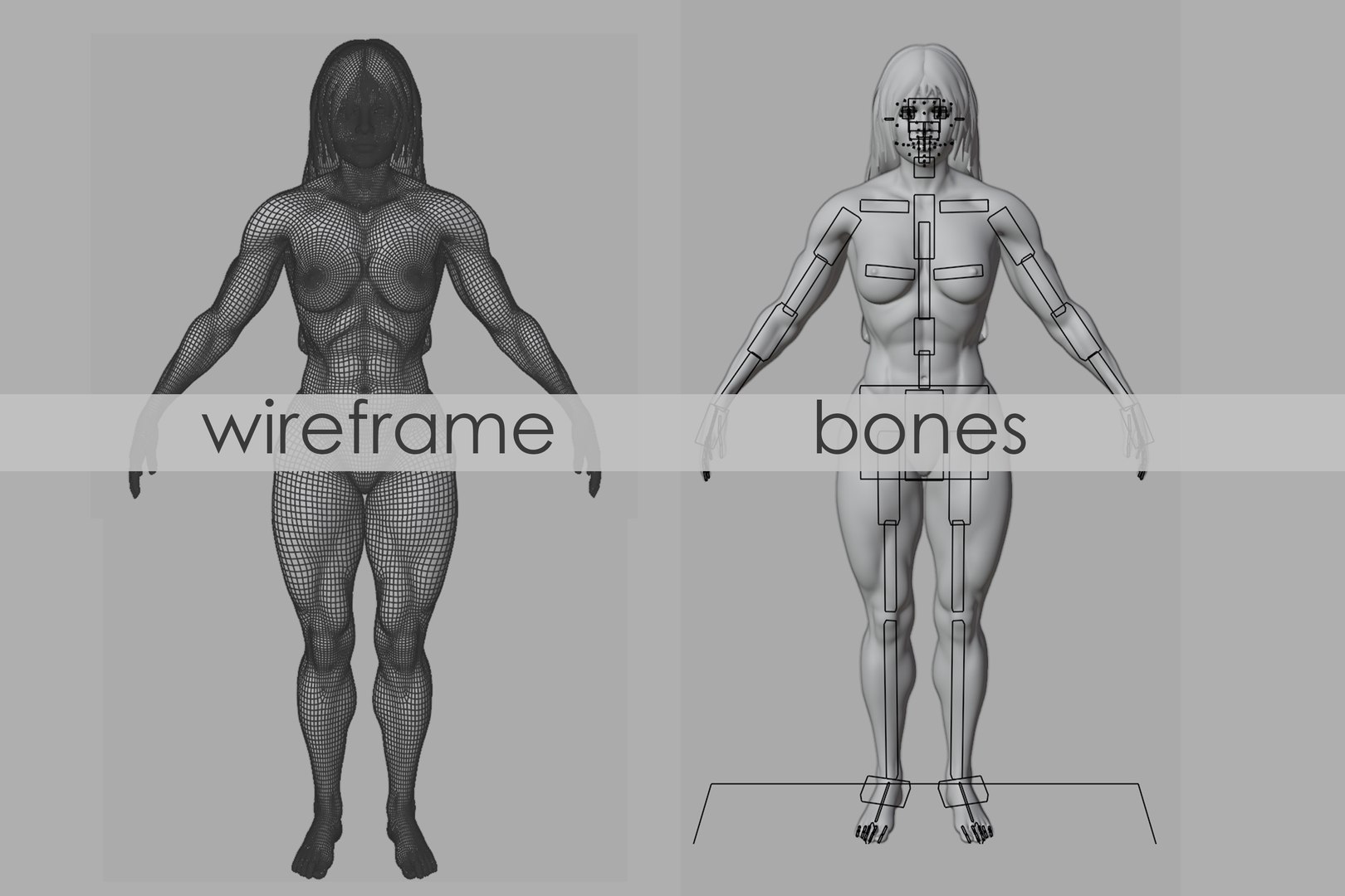 Naked Bodybuilder Muscular Woman Rigged model https://p.turbosquid.com/ts-thumb/kq/jENPpH/J8/06/jpg/1630945584/1920x1080/fit_q87/754c450cccd701783e1204693a845c635e32050d/06.jpg