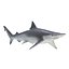 3d sharks 10