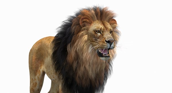 3D model lion 2 polygonal mane - TurboSquid 1375425