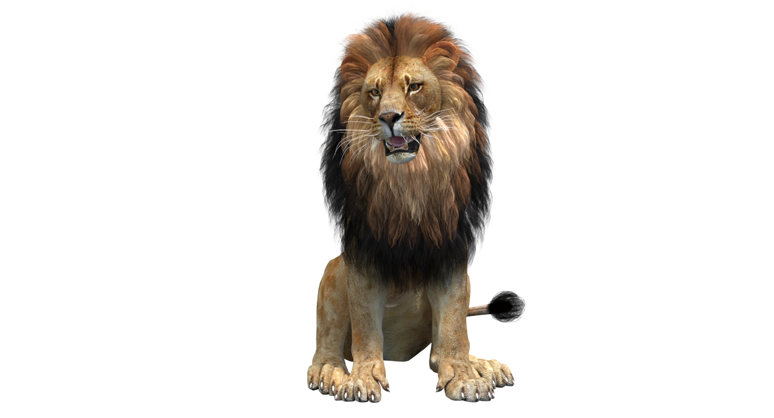 3D model lion 2 polygonal mane - TurboSquid 1375425