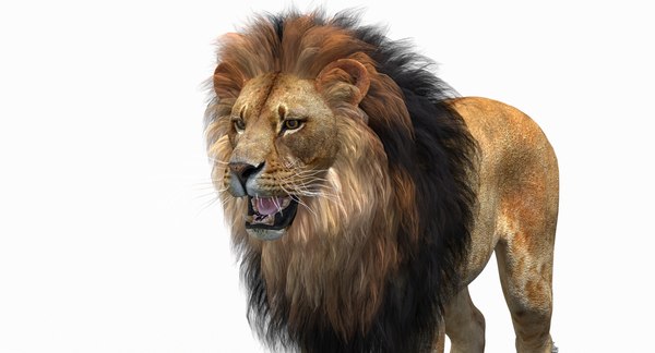 3D model lion 2 polygonal mane - TurboSquid 1375425