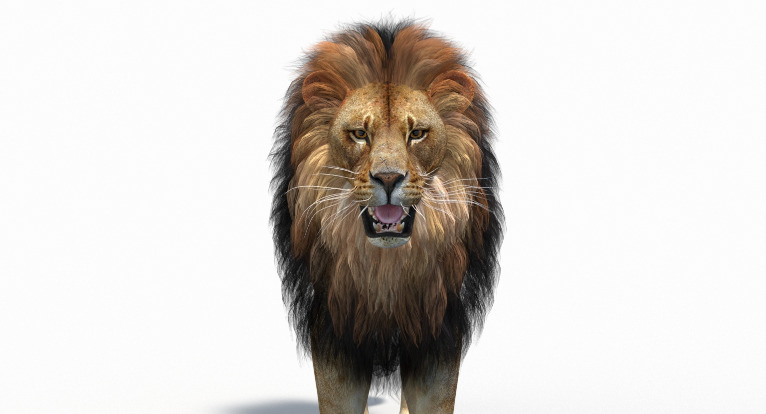 3D model lion 2 polygonal mane - TurboSquid 1375425