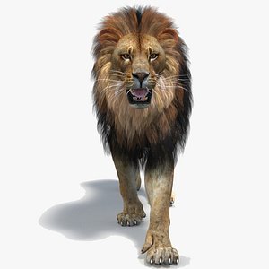 3D model lion 2 polygonal mane