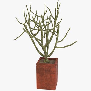 3D decorative potted
