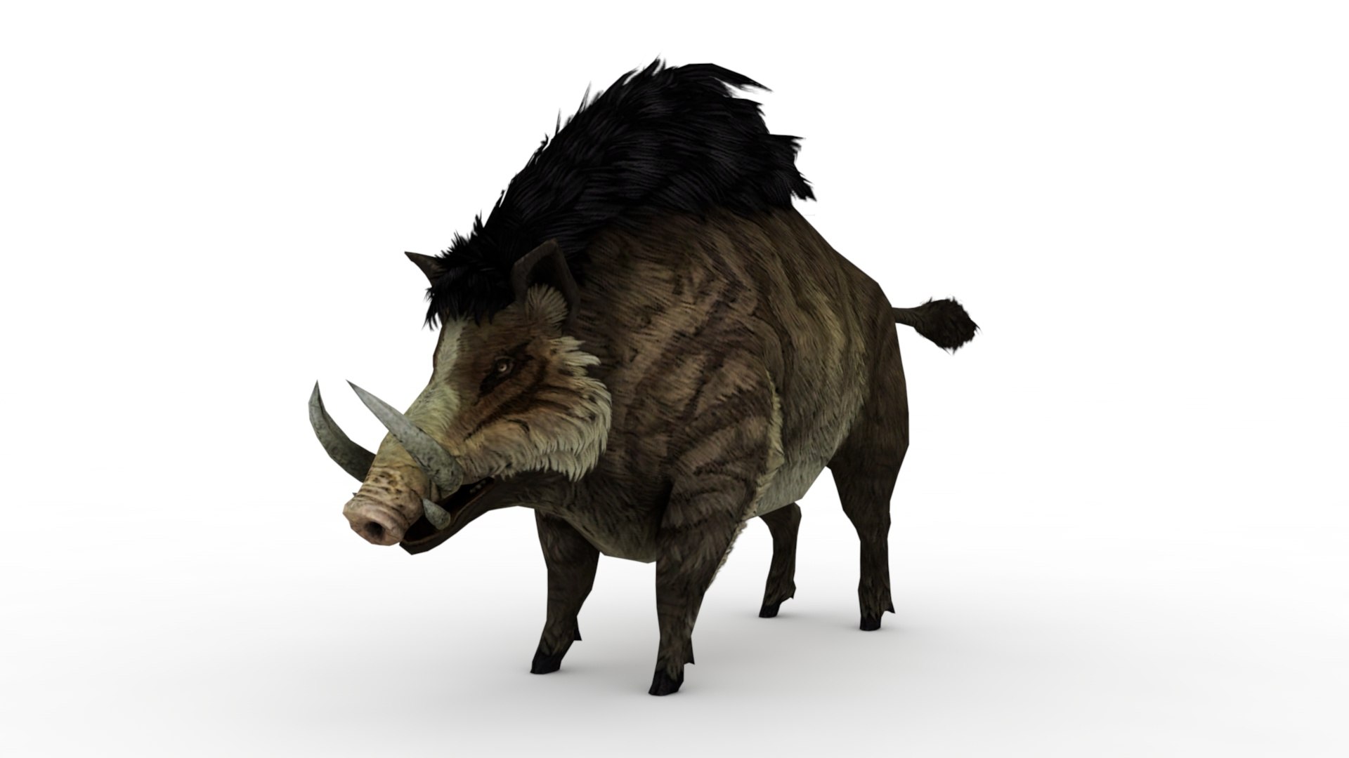 Wild Boar Model - TurboSquid 1929124