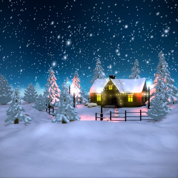 winter scene christmas house 3d model