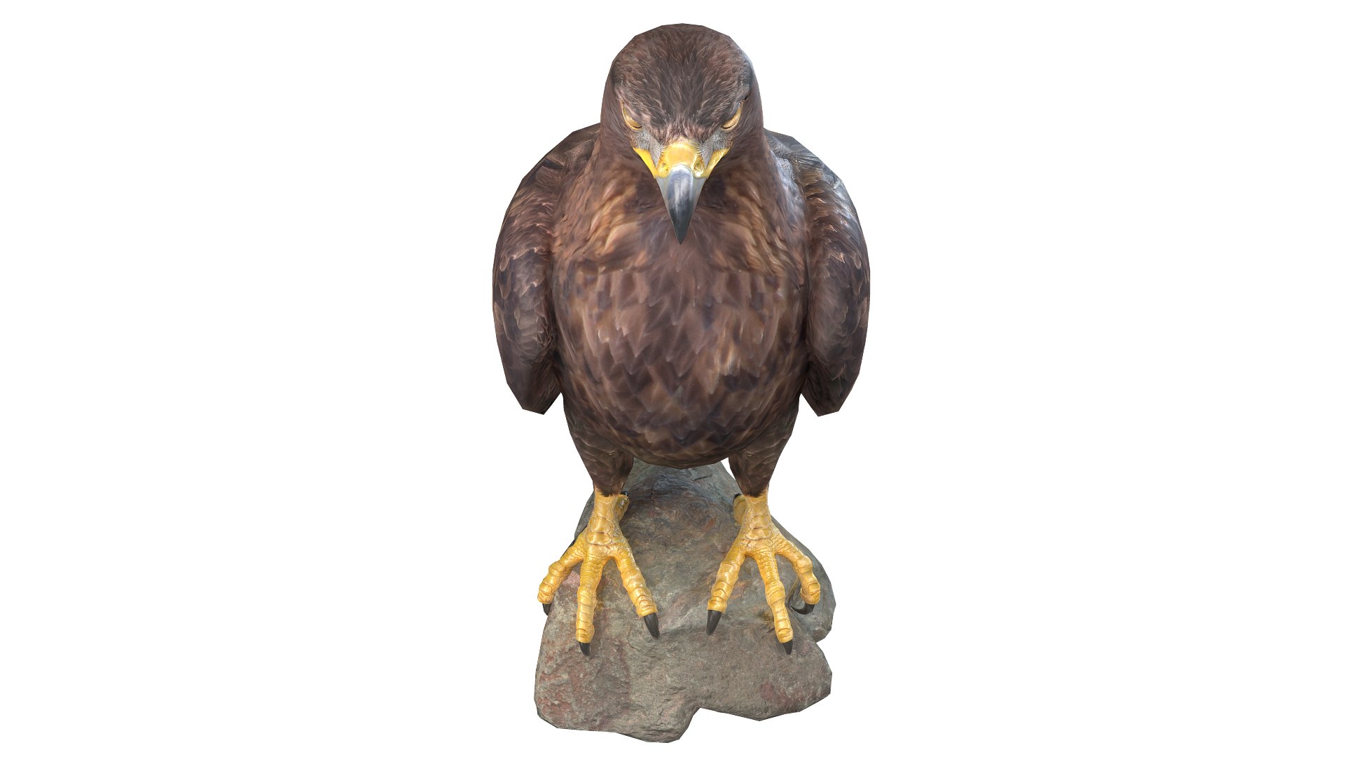 Predator Birds Collection 3D https://p.turbosquid.com/ts-thumb/kr/IE5pLa/06/07/jpg/1640967503/1920x1080/fit_q87/4933f0bf9602fdb82639b7a7edb96c2979857cf7/07.jpg