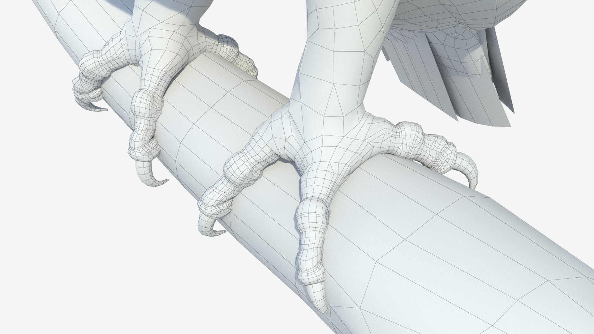 Predator Birds Collection 3D https://p.turbosquid.com/ts-thumb/kr/IE5pLa/1t/edge_44/jpg/1640970921/1920x1080/fit_q87/13f456e3c25bd572ee7efcc2826f20b37afe5dbc/edge_44.jpg