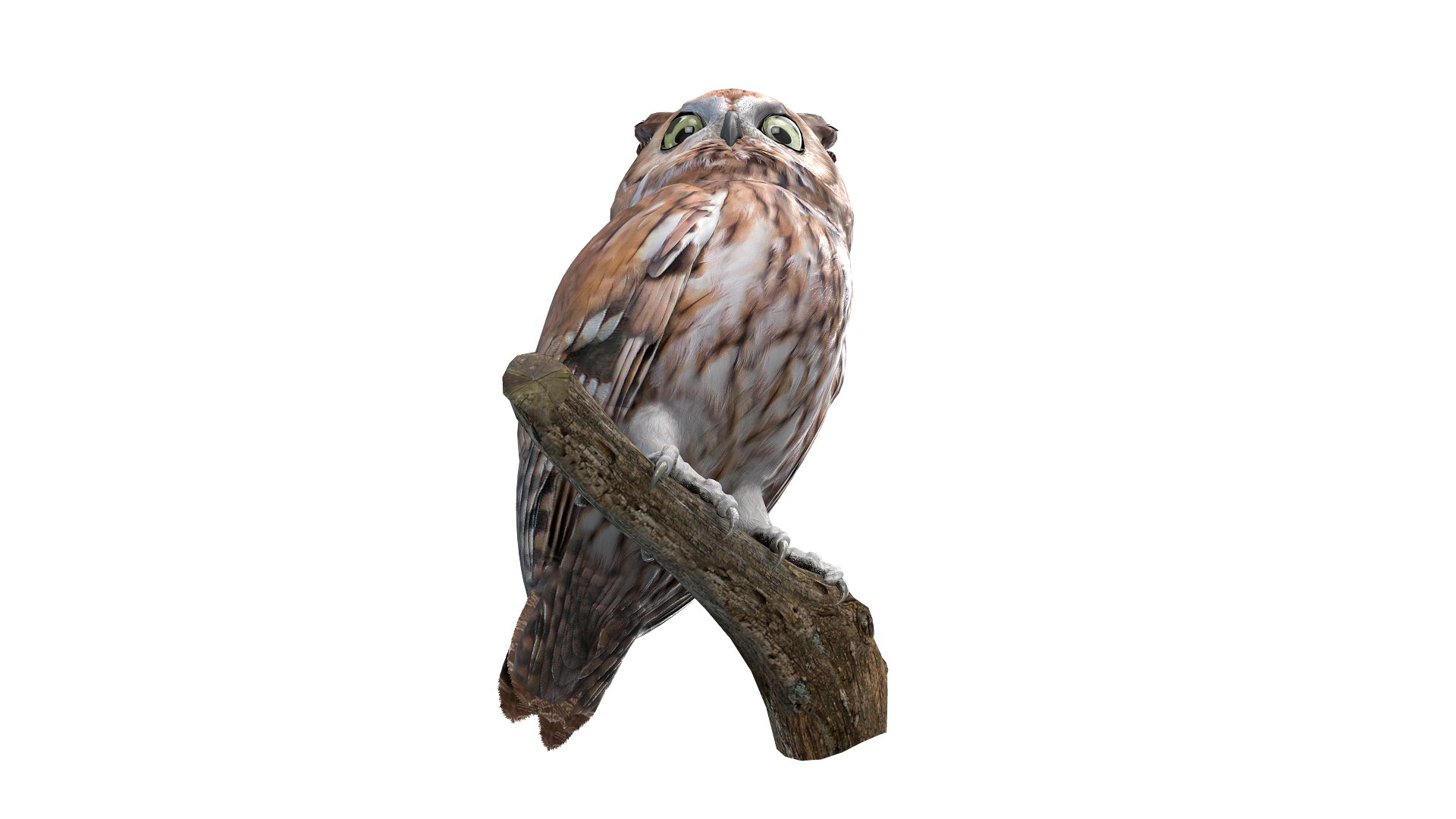Predator Birds Collection 3D https://p.turbosquid.com/ts-thumb/kr/IE5pLa/BI/022/jpg/1640968235/1920x1080/fit_q87/14dcdb2f8f574e5e6a0b42ce661ce295527f8a66/022.jpg