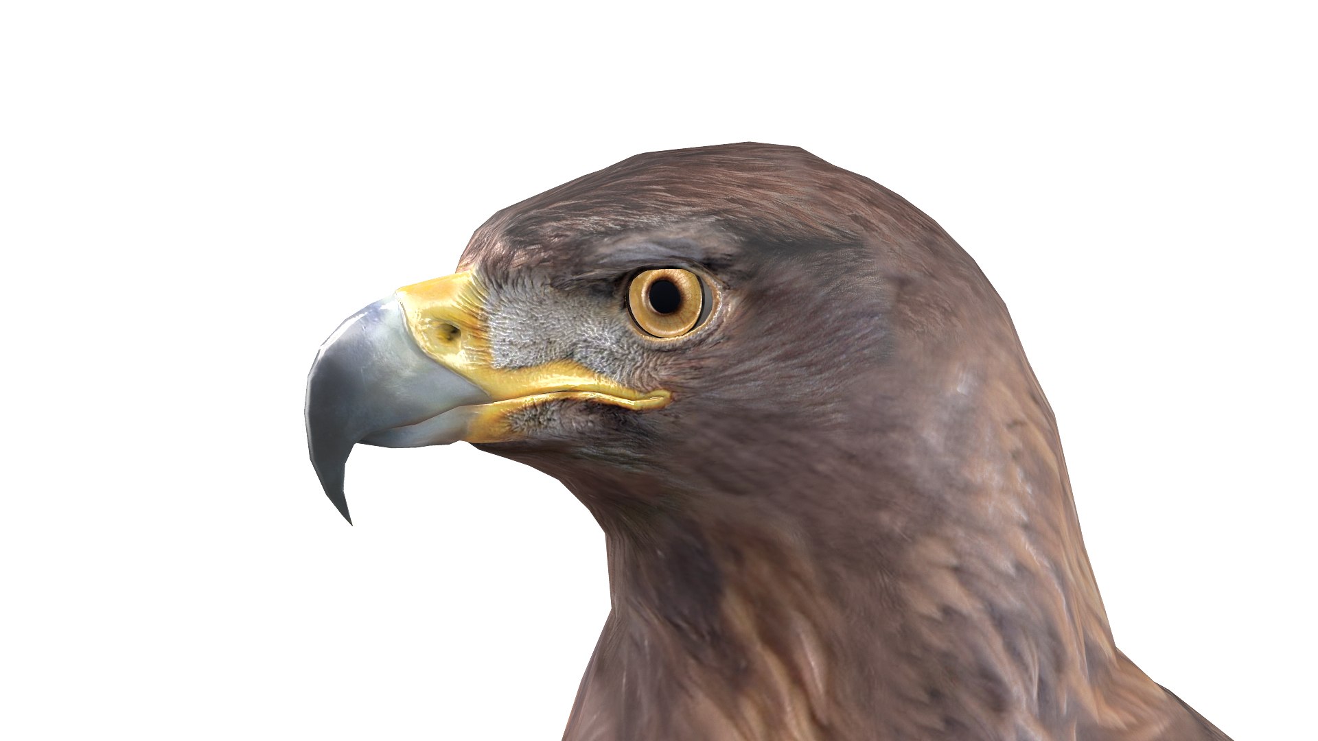 Predator Birds Collection 3D https://p.turbosquid.com/ts-thumb/kr/IE5pLa/Cy/06/jpg/1640967505/1920x1080/fit_q87/4ae33142690431eebd2df913788a6ad2fa889a6d/06.jpg